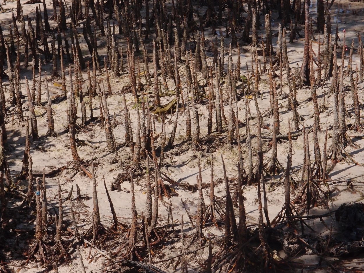 2015-10-07 Habitat des Lorbi (Foto)